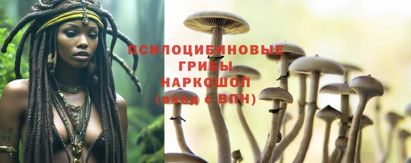мескалин Вяземский