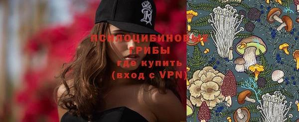 стафф Вязьма