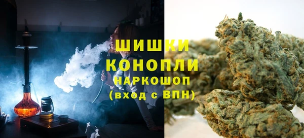 стафф Вязьма